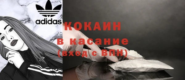 шишки Красноперекопск