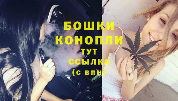 стафф Аркадак