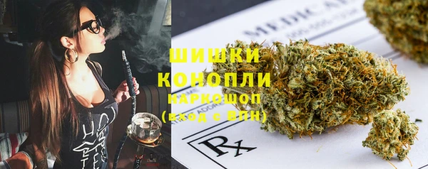 стафф Аркадак