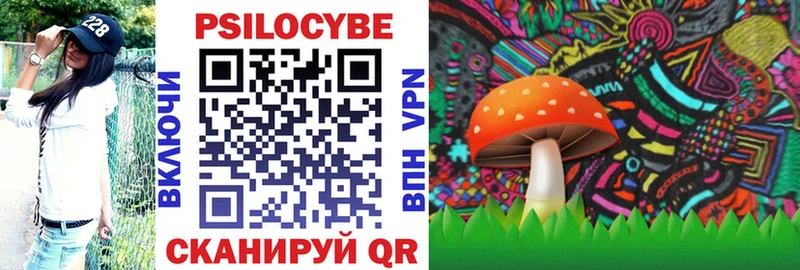 Псилоцибиновые грибы мицелий Белозерск